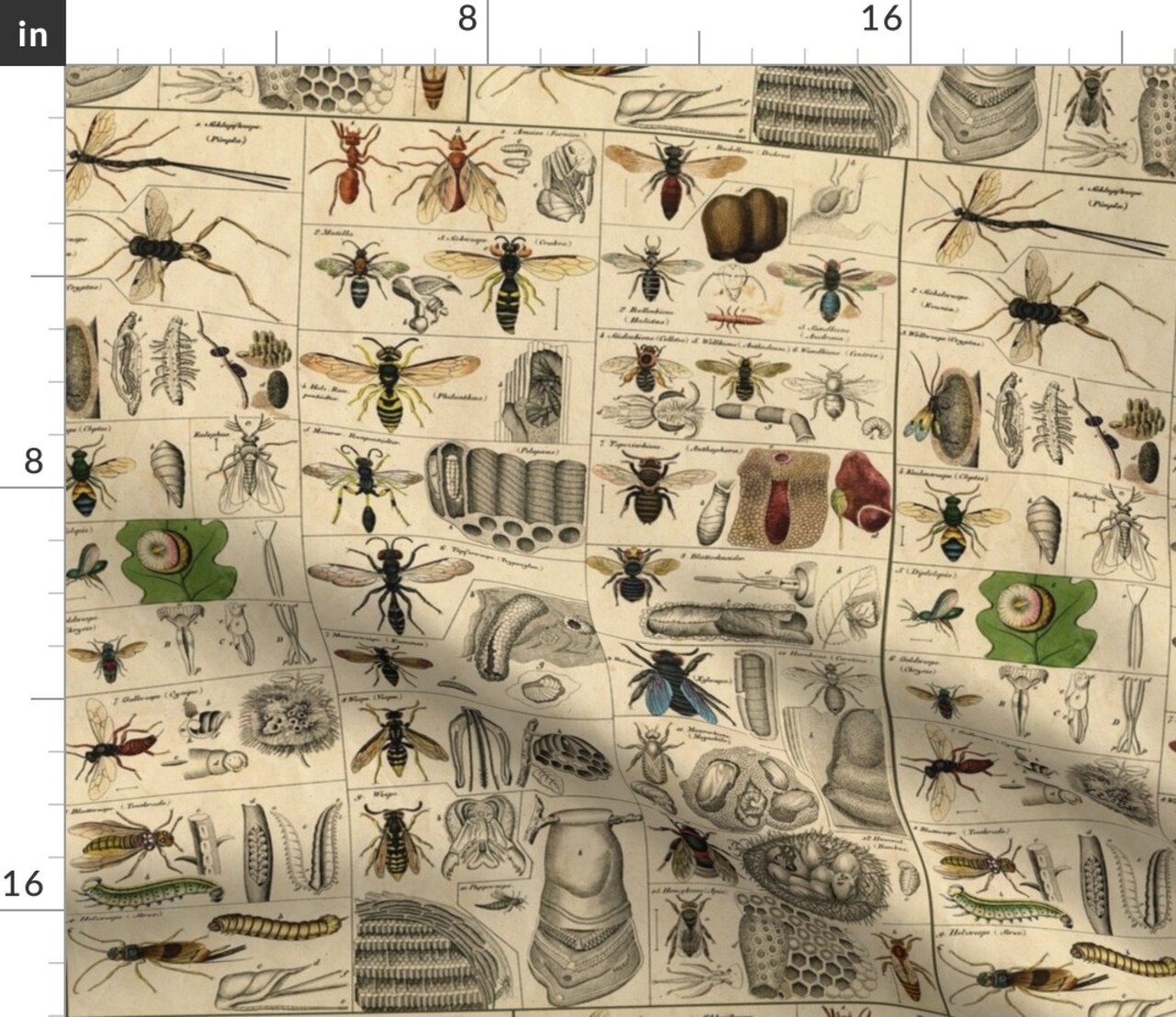 Entomology Bugs Science Bees Natural World Bug Classroom Custom Printed Fabric by Spoonflower Various Fabrics by the Yard or Fat Quarter